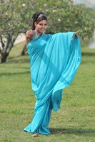 Mona Saree Photos